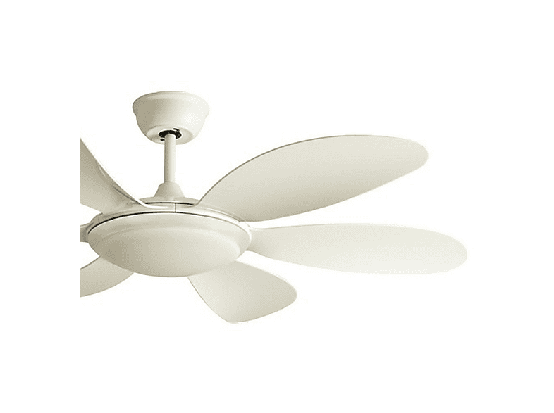 WONDERLAMP MARY — Ventilador de techo, 25 W, 5 velocidades, Blanco, vista 2