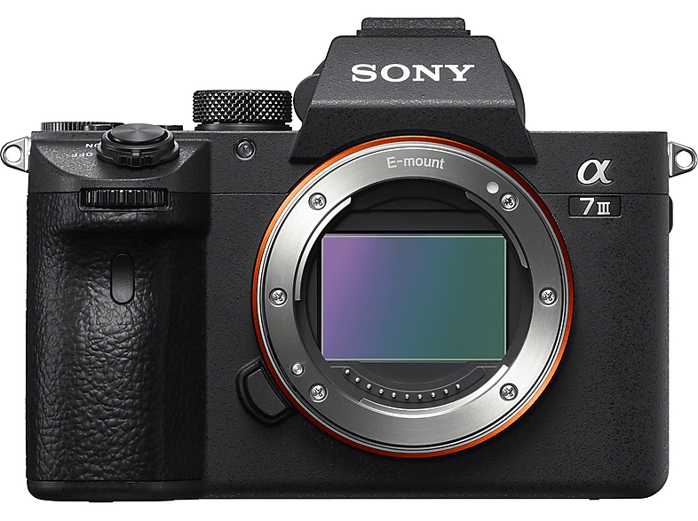SONY 7 III — Cámara digital, Negro, 24,2 megapixel, 4K 3840p