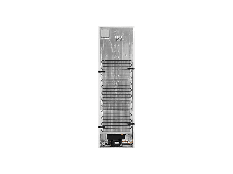 AEG RCB736E7ML — Frigorífico combi, Altura 2010 mm, Inox, No Frost, Capacidad 367 l, vista 5