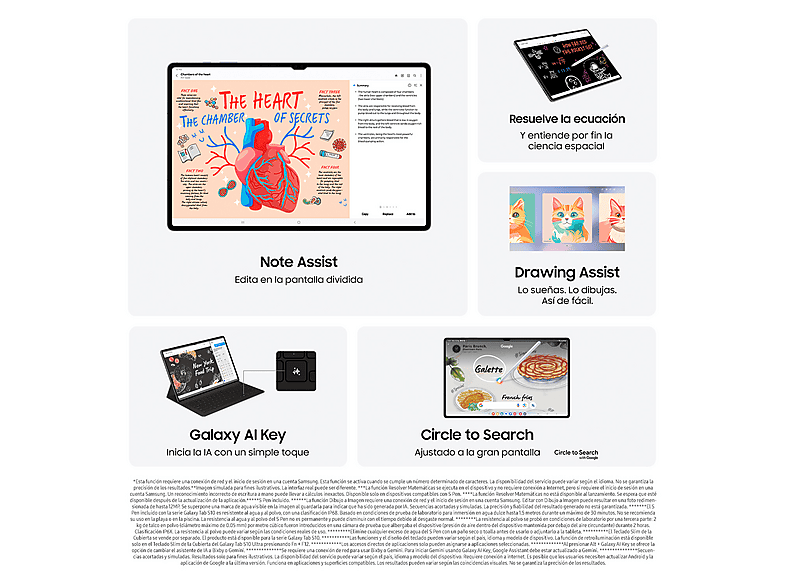 SAMSUNG SM-X920NZAPEUB — Tablet, 512 GB, Steel, 12 GB RAM, 14,6" WQXGA+, vista 5