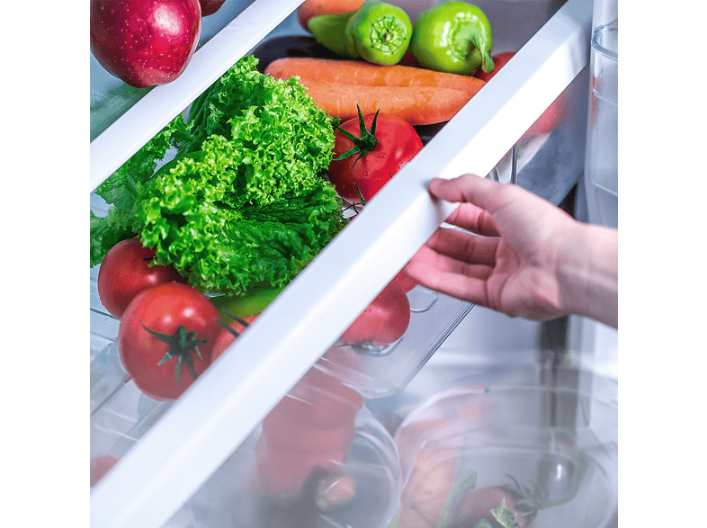 CECOTEC Bolero CoolMarket Combi 290 Inox — Frigorífico combi, Altura 1850 mm, Plateado, No Frost, Capacidad 290 l, vista 5