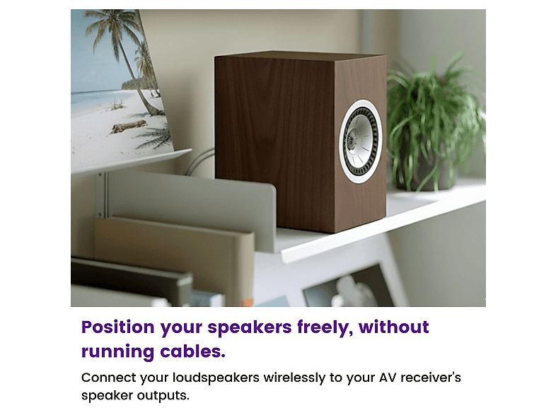 MARMITEK Speaker Anywhere 750 — Altavoz inalámbrico, 100 W, Negro, 1 canales, vista 2