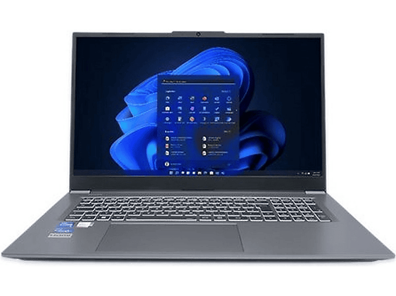 TERRA MOBILE 1717R — Portátil, 16 GB RAM, 1000 GB SSD, Windows, Gris