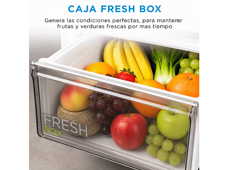 MIDEA Space Master MDRB600MME46, Capacidad Extra 443L — Frigorífico Combi, 201 cm altura, Inox, Total No Frost, Cajón 0º, vista 19