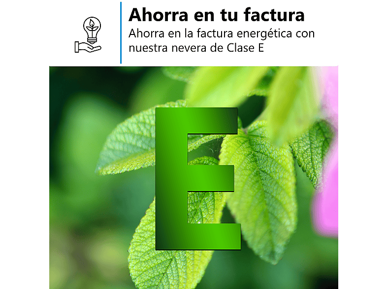 MIDEA MDRT489MTE02E — Frigorífico dos puertas, 172.4 cm Alto, Inverter, Inox, No Frost, vista 12